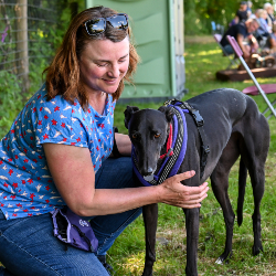 Novelty Dog Show